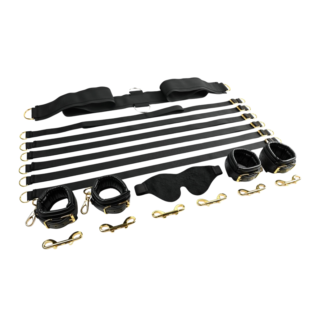 Special Edition Under the Bed Restraint System®